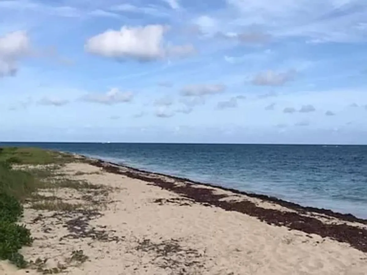 Apartment St Croix Bliss - Tranquil Retreat-Ocean Views-Island Breezes
